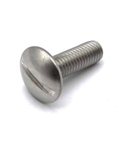 Mushroom Slotted Screws