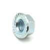 Flanged Hex Serrated Nuts